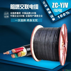 ZC-YJV-0.6/1kV-3*4